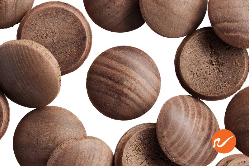 5 1000 WAL MWP 1 inch Walnut Button Top Wood Plugs Overhead